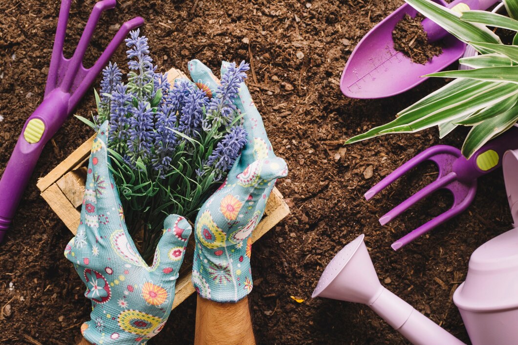 Tworzenie kompozycji kolorystycznych w ogrodzie – poradnik dla miłośników roślin