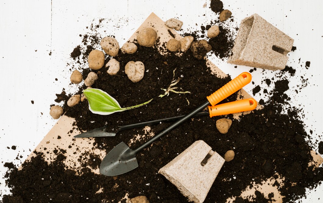 Czy warto stosować kompost w pielęgnacji roślin? Poradnik ekologicznego ogrodnika