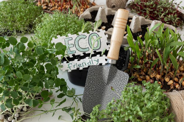 Jak zaprojektować funkcjonalny i estetyczny ogród przydomowy