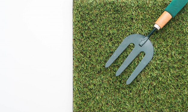 Sekrety zdrowego trawnika: jak dbać o zieloną murawę przez cały rok